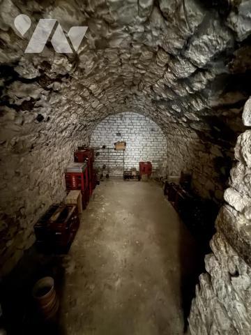 ORMES- Ensemble immobilier Maison T8 202m2 et dépendances