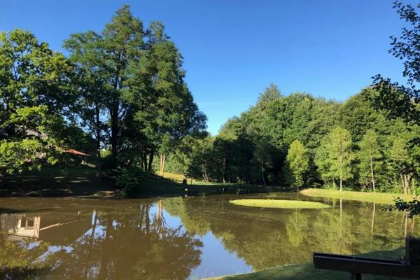 Moulin magnifiquement restauré offrant cinq chambres, 2.7 ha de terrain avec piscine et grange