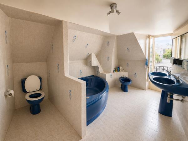 À vendre, maison de charme à 25 minutes de Paris, 6 pièces LE MEE SUR SEINE VILLAGE (77)