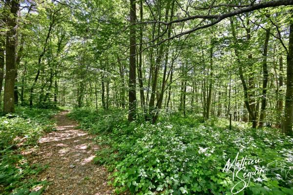 Terrain à bâtir de 2815 m² à AVEIZE (69)