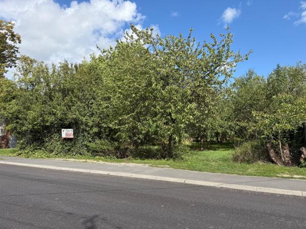 Terrain plat idéal pour petit plain pied