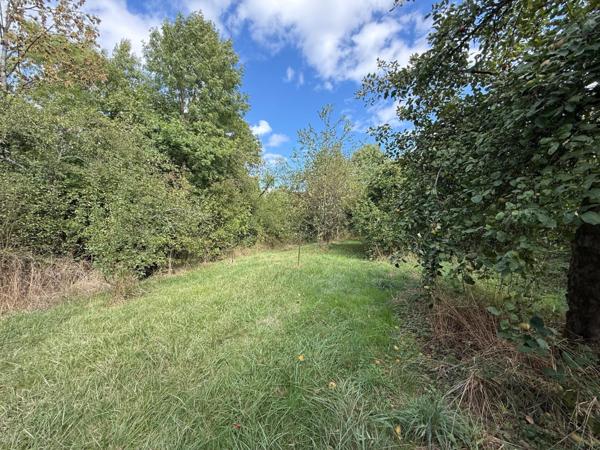 Terrain plat idéal pour petit plain pied