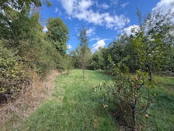 Terrain plat idéal pour petit plain pied