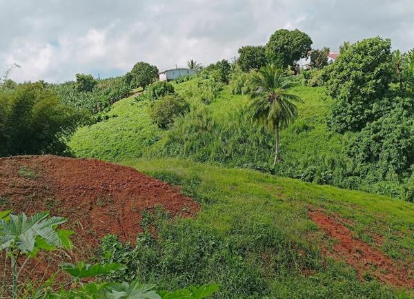 Terrain à vendre    740 m2 Le Lorrain