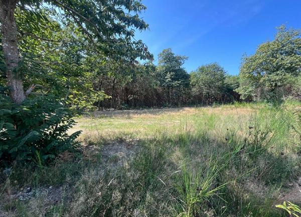 Terrain à vendre    Tosse