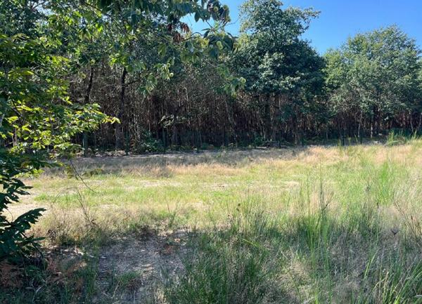 Terrain à vendre    Tosse