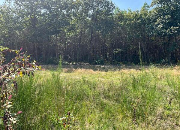 Terrain à vendre    Tosse