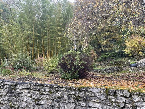 Aslonnes (86340) MAISON DE CHARME