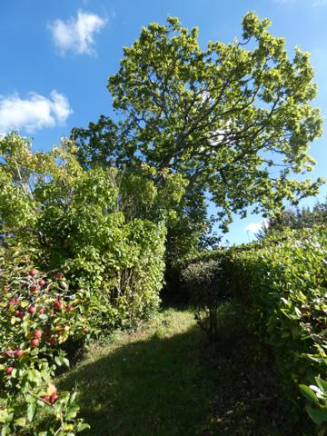 Sur les hauteurs de Morlaix Morlaix (29600)