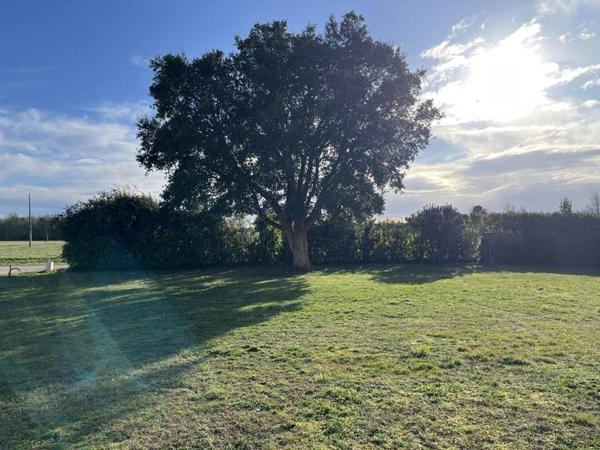 Terrain à vendre |  Soustons |  672 m²