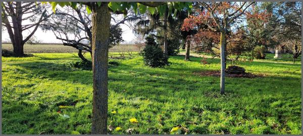Charmante ancienne fermette plus une grande dépendance, dans un précieux petit hameau à la sortie de Brissac