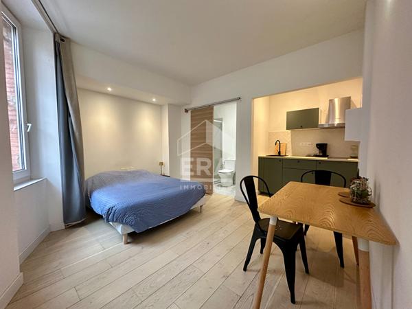 Appartement - Studio - Toulouse - Busca 1 pièce(s) 22 m2