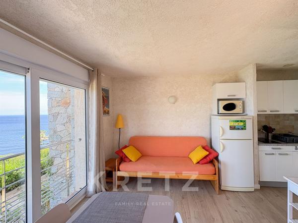 Appartement T2 avec Terrasse – Vue mer - Monticello