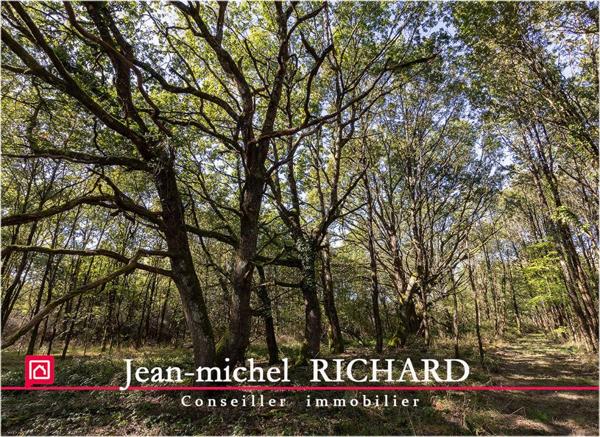 Appartement Courmemin