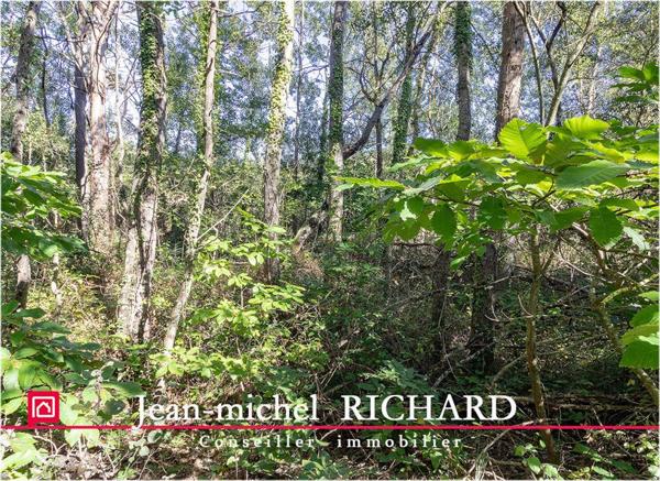 Appartement Courmemin