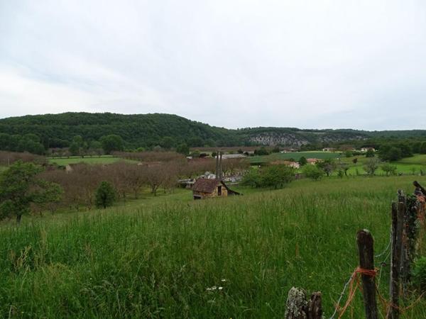 Terrain Aubas 10 164 m2