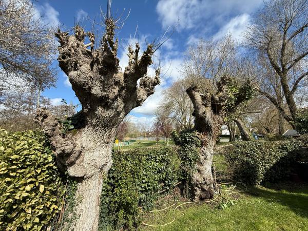 Maison 6 pièce(s) 4 chambre(s) 170 m²