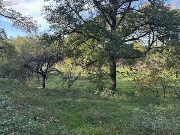 Maison à vendre à Figeac dans le Lot (46100), ref : MAIS10