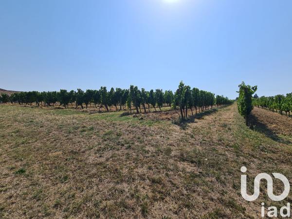 Terrain à vendre 20 497 m² Saussignac