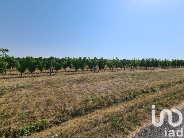 Terrain à vendre 20 497 m² Saussignac