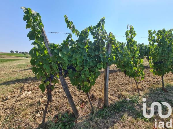 Terrain à vendre 20 497 m² Saussignac