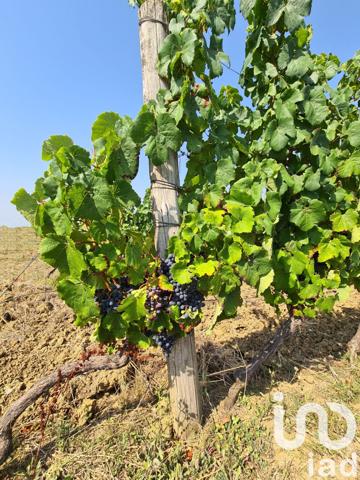 Terrain à vendre 20 497 m² Saussignac