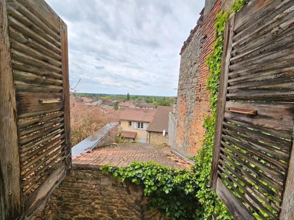 Local mixte (Pro/Hab) à vendre à Saint-Amour dans le Jura (39160), ref : 71111-66