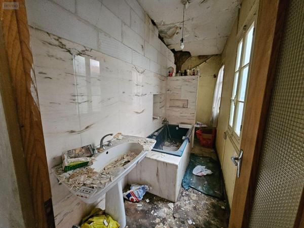 Local mixte (Pro/Hab) à vendre à Saint-Amour dans le Jura (39160), ref : 71111-66