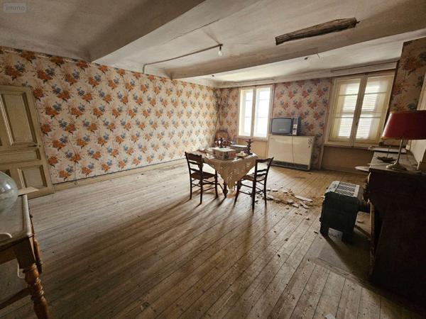 Local mixte (Pro/Hab) à vendre à Saint-Amour dans le Jura (39160), ref : 71111-66