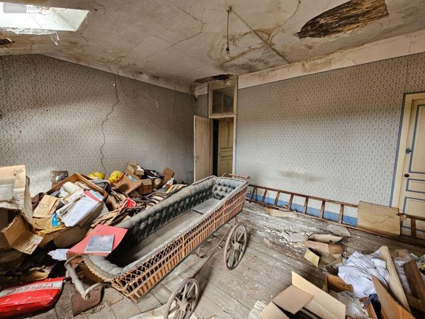 Local mixte (Pro/Hab) à vendre à Saint-Amour dans le Jura (39160), ref : 71111-66