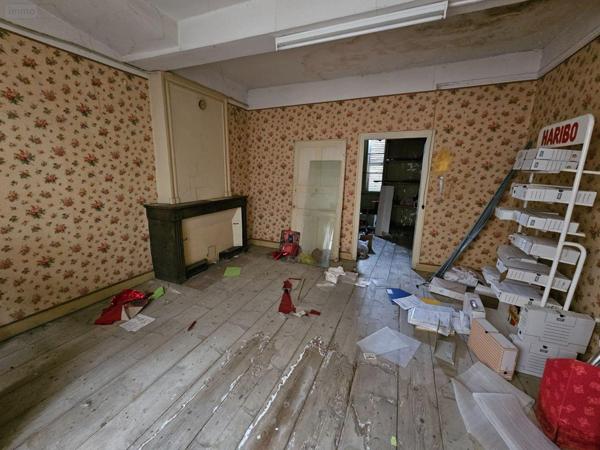 Local mixte (Pro/Hab) à vendre à Saint-Amour dans le Jura (39160), ref : 71111-66