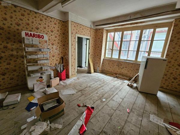 Local mixte (Pro/Hab) à vendre à Saint-Amour dans le Jura (39160), ref : 71111-66