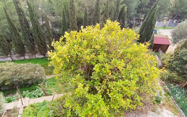 Maison à vendre    7 pièces •  Ollioules