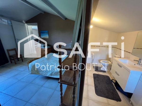 DOMAINE A VENDRE AU COEUR DU MARAIS POITEVIN