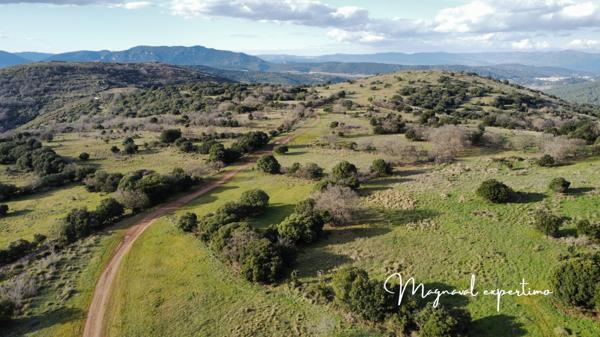 Clermont-l'Hérault (34800) Domaine de 150 hectares avec petit mas à rénover à Clermont l’Hérault (34) France