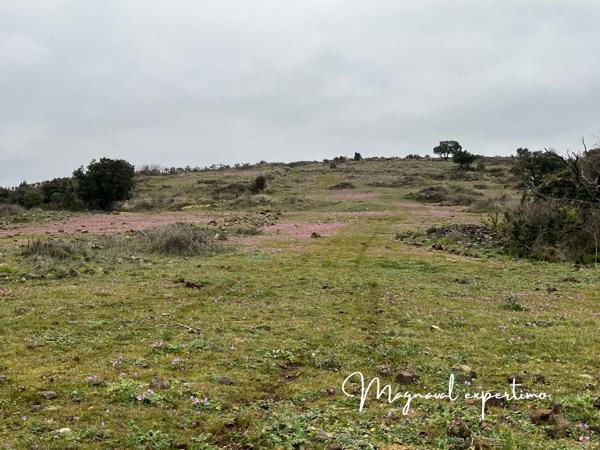 Clermont-l'Hérault (34800) Domaine de 150 hectares avec petit mas à rénover à Clermont l’Hérault (34) France