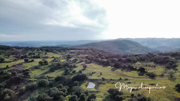 Clermont-l'Hérault (34800) Domaine de 150 hectares avec petit mas à rénover à Clermont l’Hérault (34) France