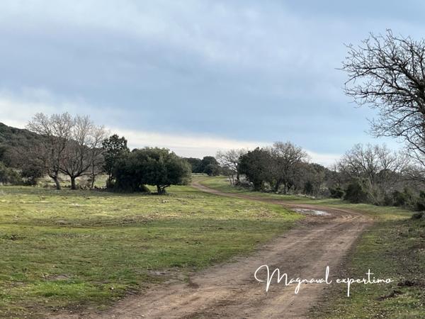 Clermont-l'Hérault (34800) Domaine de 150 hectares avec petit mas à rénover à Clermont l’Hérault (34) France