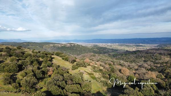 Clermont-l'Hérault (34800) Domaine de 150 hectares avec petit mas à rénover à Clermont l’Hérault (34) France