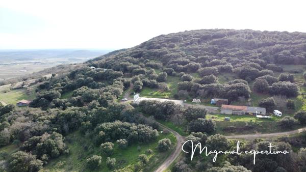Clermont-l'Hérault (34800) Domaine de 150 hectares avec petit mas à rénover à Clermont l’Hérault (34) France