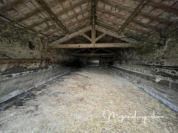 Clermont-l'Hérault (34800) Domaine de 150 hectares avec petit mas à rénover à Clermont l’Hérault (34) France