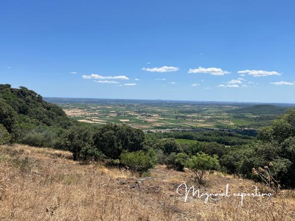 Clermont-l'Hérault (34800) Domaine de 150 hectares avec petit mas à rénover à Clermont l’Hérault (34) France