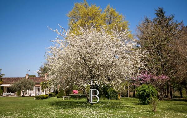 Castres, Propriété 5 Chambres -  307 m² à vendre