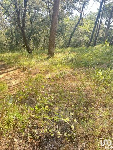 Terrain à vendre 483 m² Suze-la-Rousse