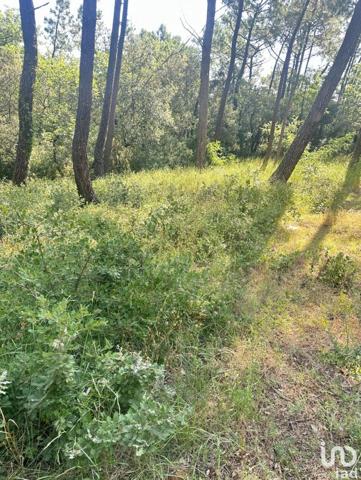 Terrain à vendre 483 m² Suze-la-Rousse