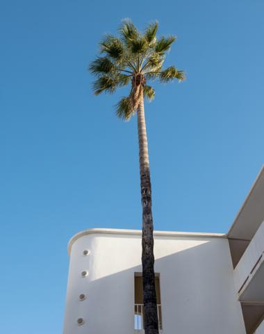 Hyères (83400) Appartement rez de jardin sur plage et jardins privés avec place de bateau !