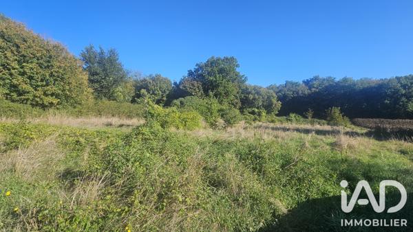 Terrain à vendre 5 348 m² Montjean
