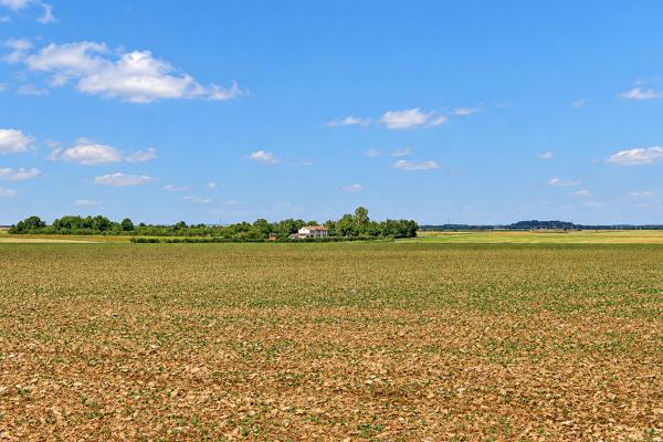 Maison à vendre à Thénezay (79390) - Deux-Sèvres