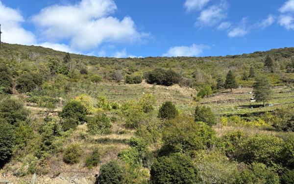 Maison à vendre    4 pièces •  Mas-Cabardès