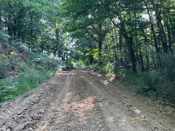 Achat vente Maison et terrain Puycornet